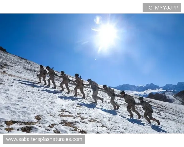 三一真人角色技能详解提升角色战斗能力的实用技巧与建议
