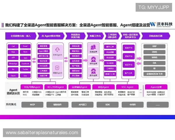 欧博视讯客服服务与用户支持体系详解提升用户满意度